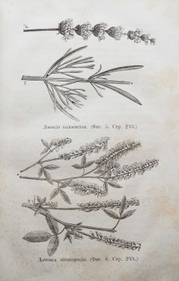 Целебный источник здоровья (домашний лечебник)... М., 1867.